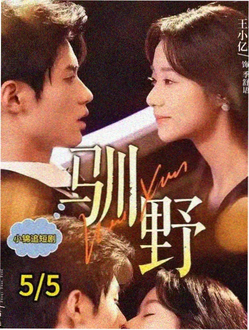 万梓良电影大全 电视剧 大家族 海报